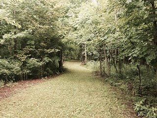 Property photo 12 - LAND AUCTION, 55+/- Acres offered in 2 tracts